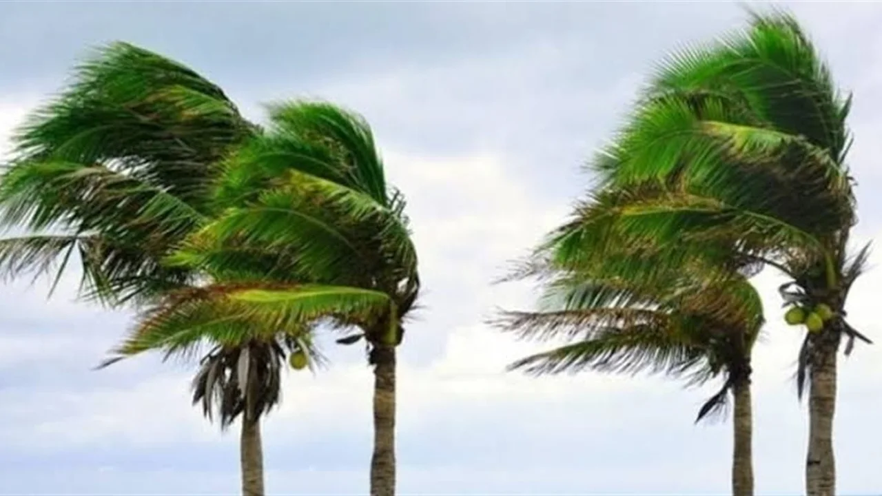 توقعات الأرصاد تشير إلى 4 ظواهر جوية تشمل نشاط الرياح وانخفاض الحرارة الجمعة